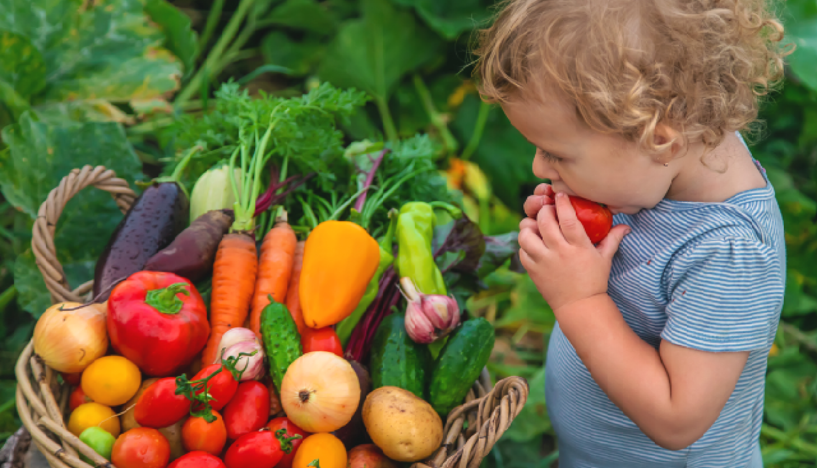 How to add more nutrients to your child's diet - Anan International School Blog